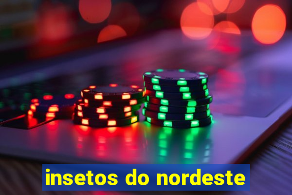 insetos do nordeste